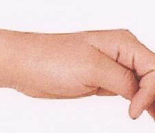 Abbildung Hand